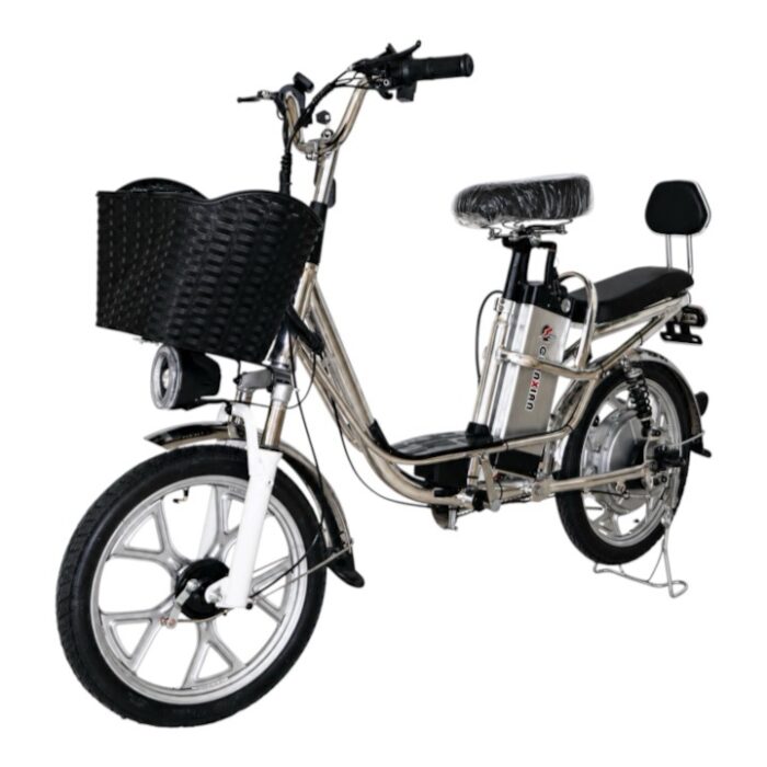 Electric bike uae