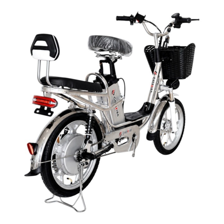 Delivery E Bike